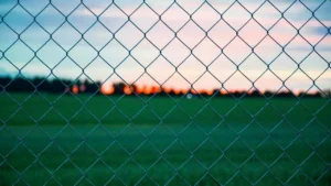 Exploring Unique Aspects of Chain Link Fence Ottawa