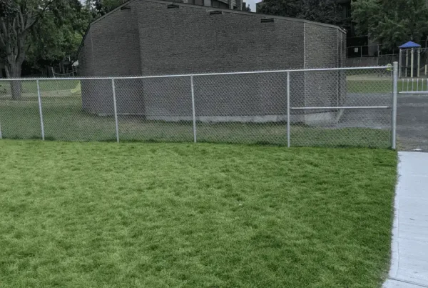 Security Fencing & Gates for Schools