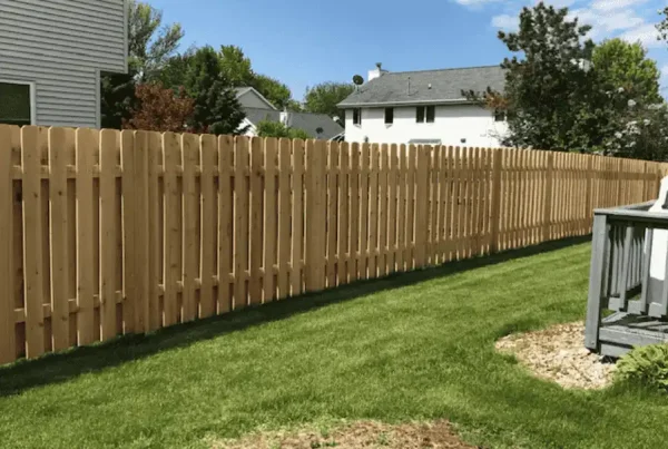 Wood fence, board on board style
