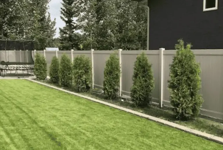 Adobe vinyl fence