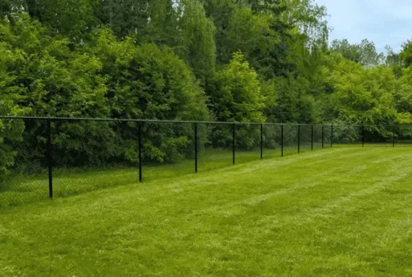 Commence Fence Chain Link Fencing
