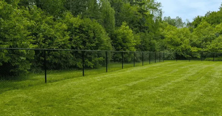 Commence Fence Chain Link Fencing