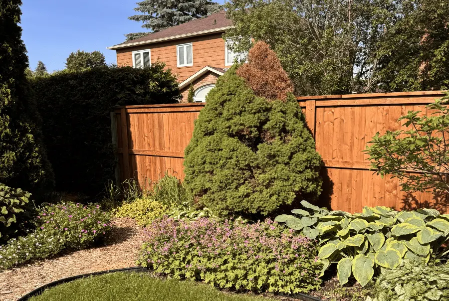 Backyard Fence Landscaping