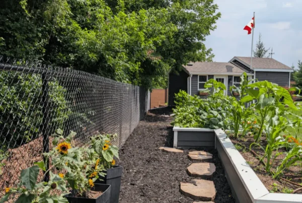 Balck Chain Link Fence