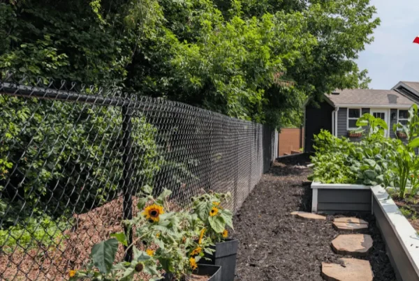 Balck Chain Link Fence