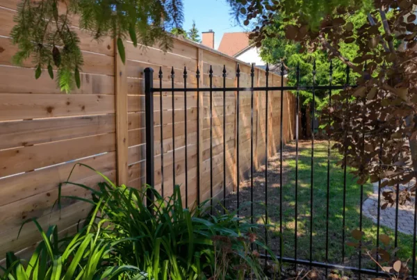 Modern Wood Fence