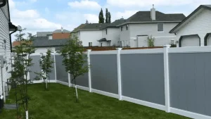 Best Fence Options for Keeping Dogs Safely in the Yard
