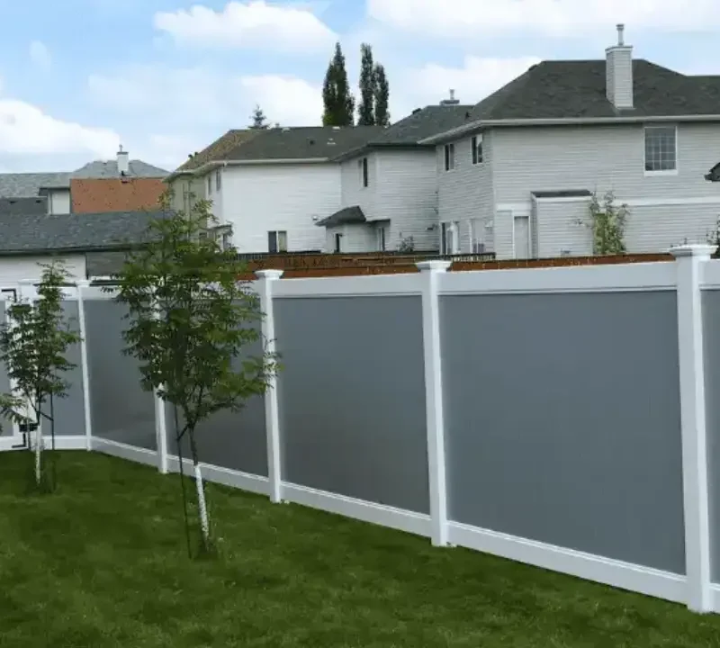 Best Fence Options for Keeping Dogs Safely in the Yard